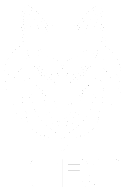 lobo adjustable deck pedestal logo